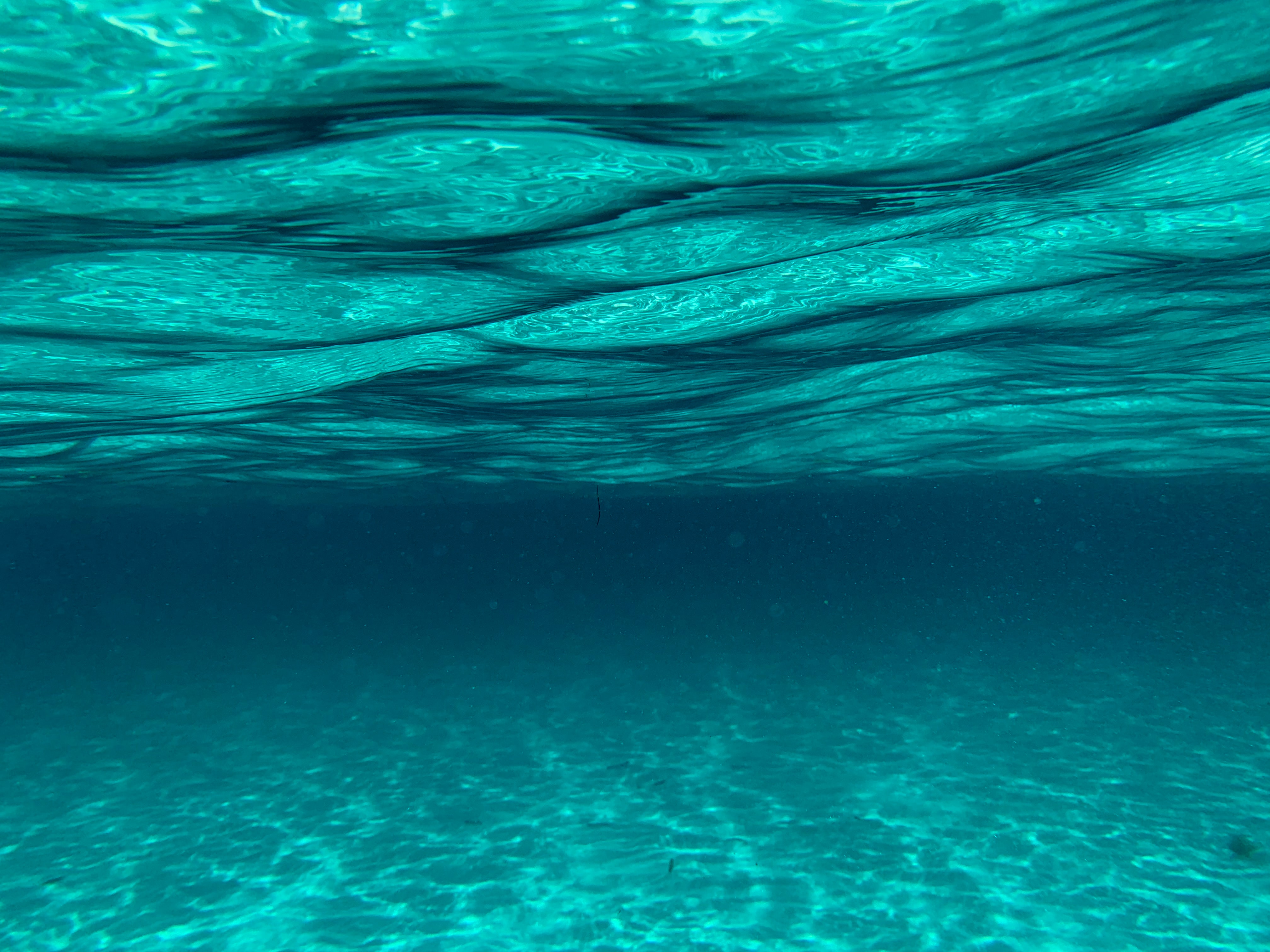Underwater photo with clear blue waves