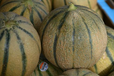 Image of sugar kiss melons stacked against each other