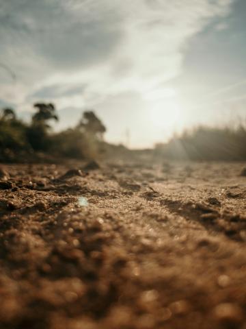 Close up of dirt trail with trees and sky in the distant background